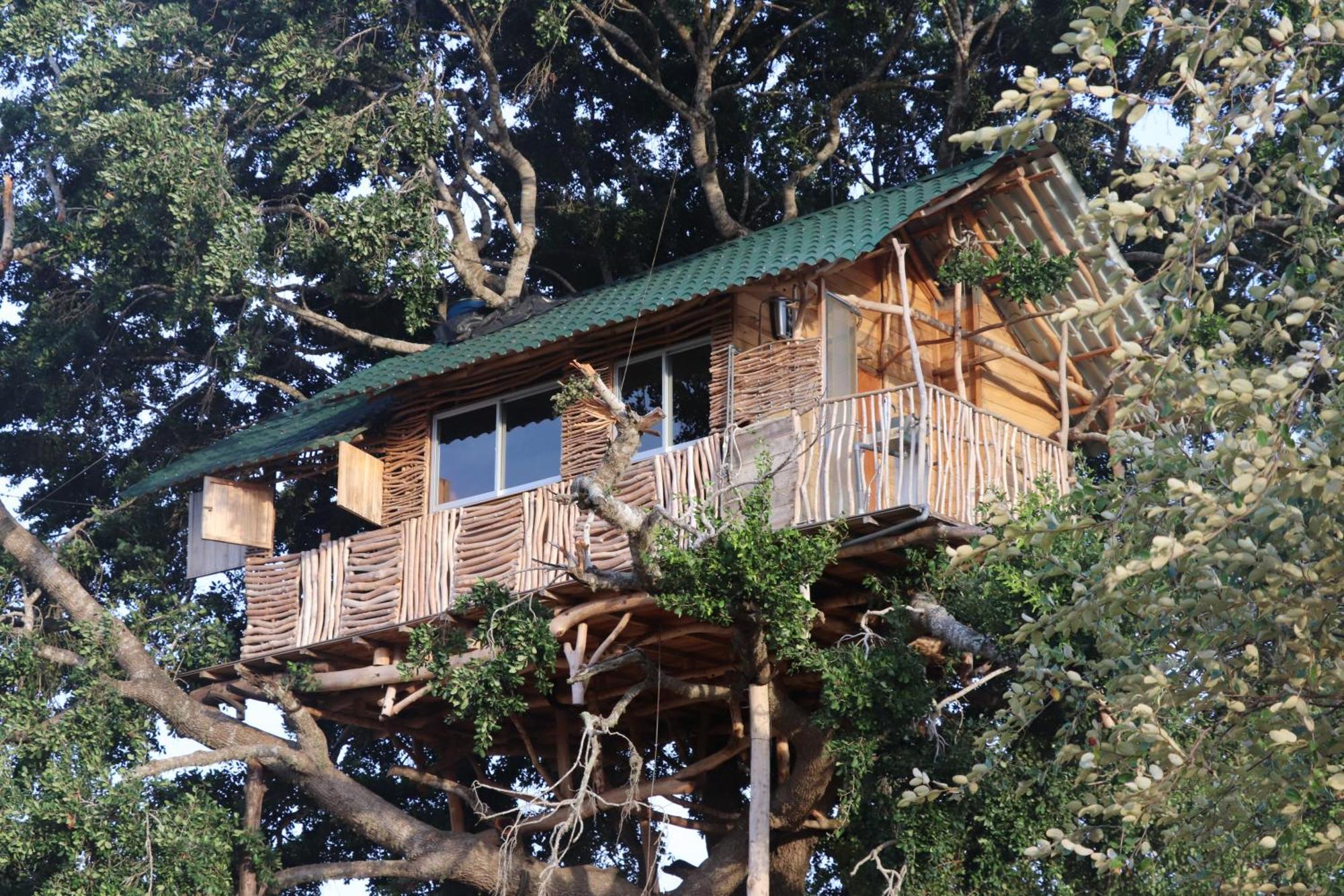 Yala Dream Park Hotel Ngoại thất bức ảnh
