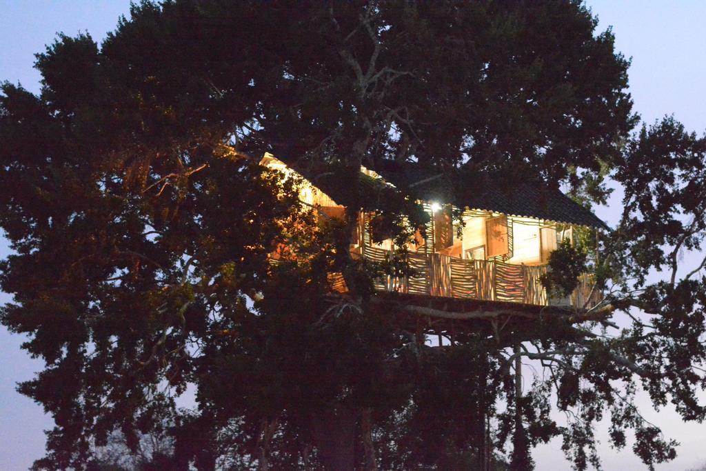 Yala Dream Park Hotel Ngoại thất bức ảnh