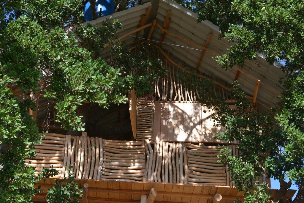 Yala Dream Park Hotel Ngoại thất bức ảnh